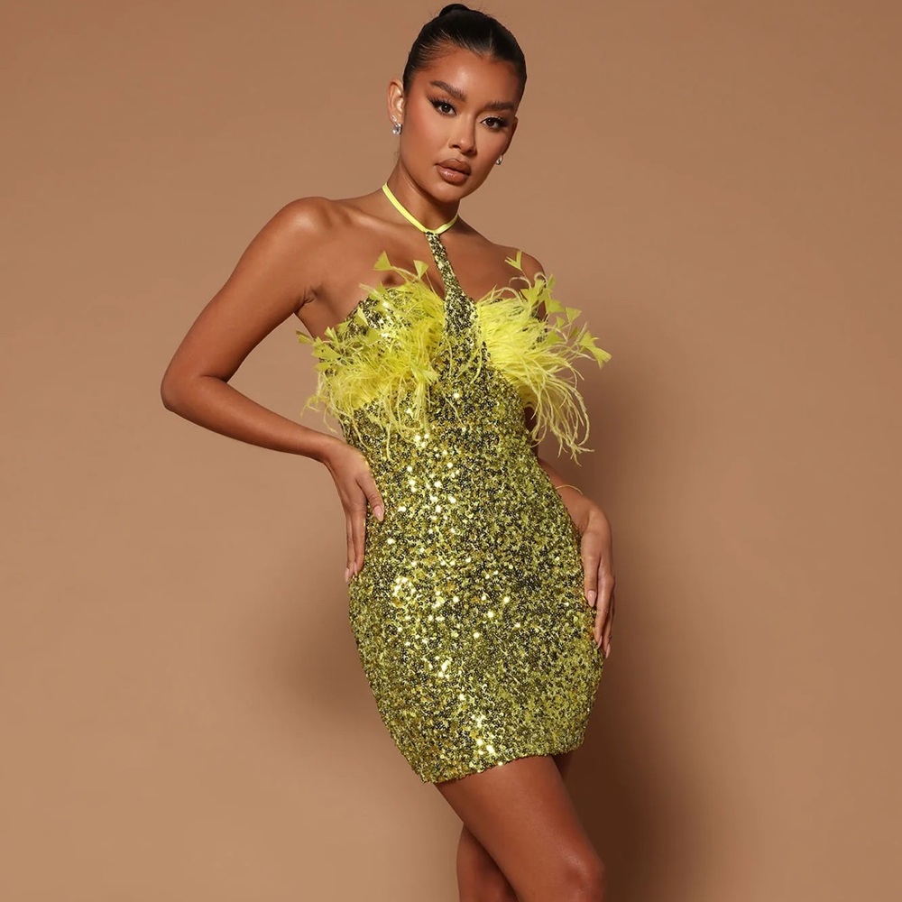 Rylie Sequin Feather Dress
